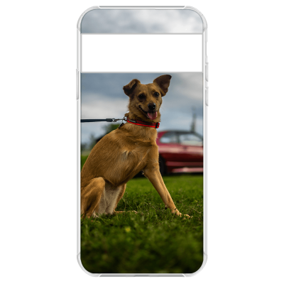 Google Pixel 7 Pro Photo Phone Case
